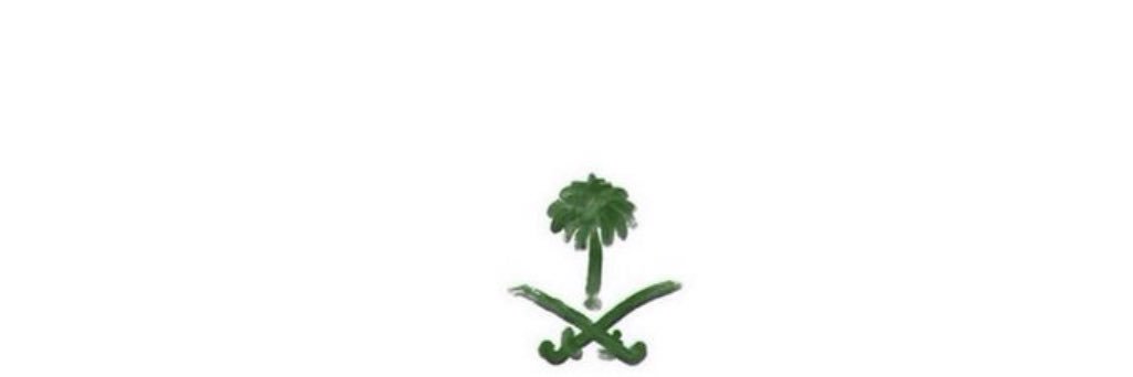 irawabi____'s profile banner image