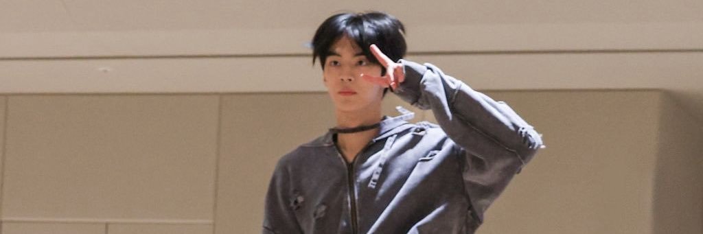 도로🐈‍⬛ banner