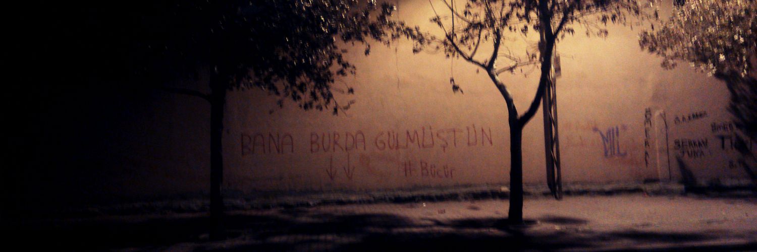 ElseverGulsum's profile banner image