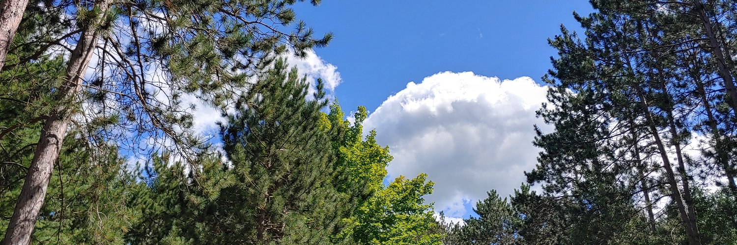 DorisBarnett's profile banner image