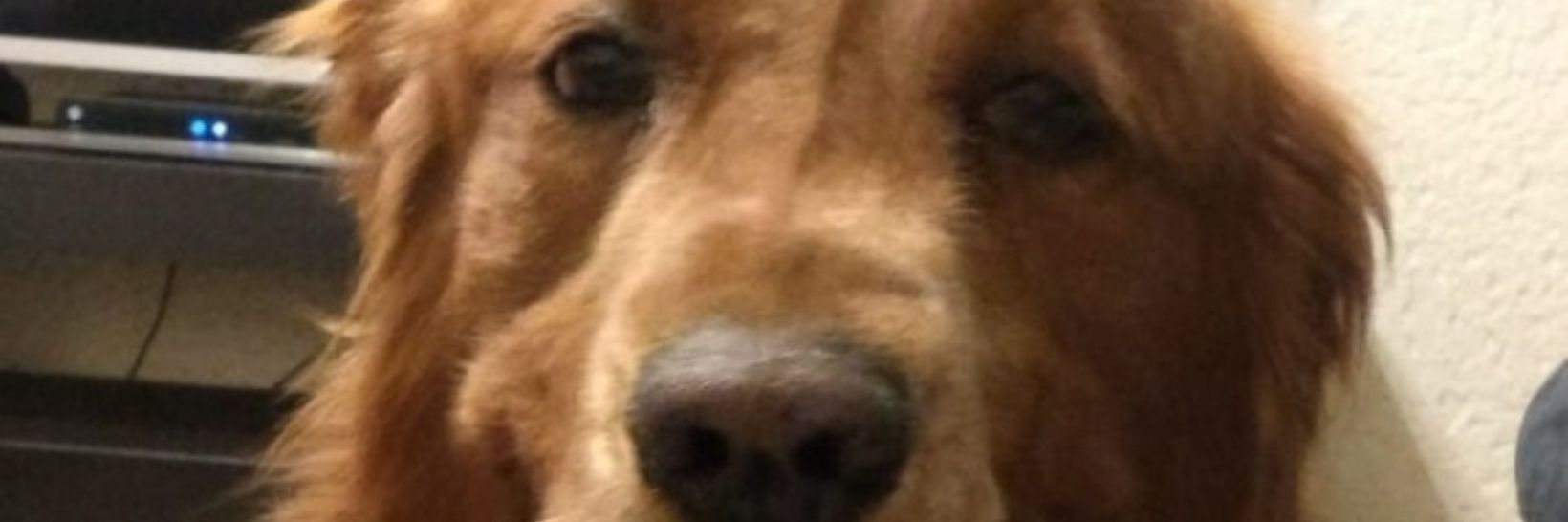 AleexGaribay's profile banner image