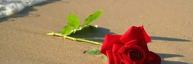 heart_abdullah's profile banner image