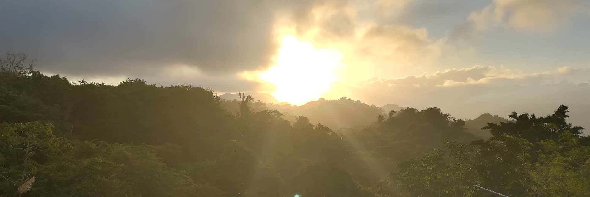 LuisaSaFra's profile banner image