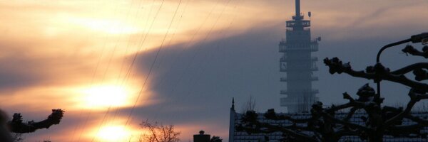 Coralyne9 Profile Banner