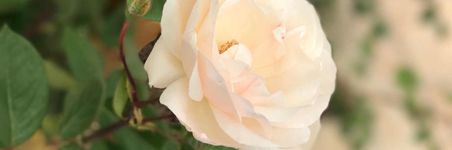 GonPaganEdu's profile banner image