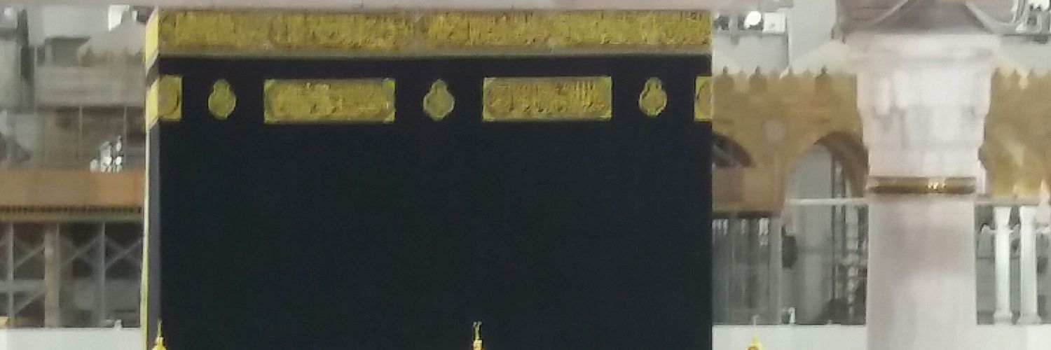 Putra Alzevine banner