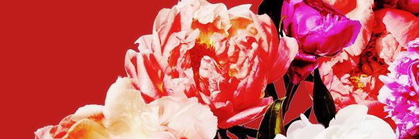 backtoselly's profile banner image