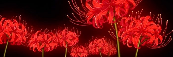AyKBai's profile banner image