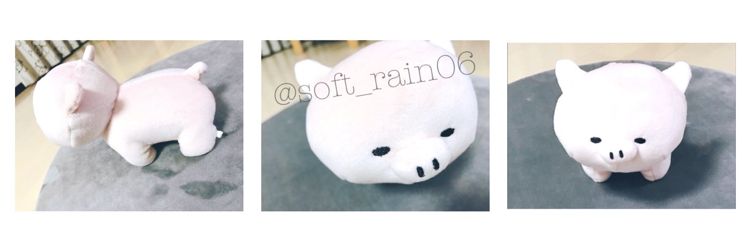 soft_rain06's profile banner image