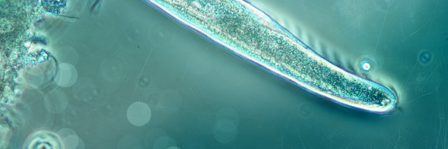 MWRD banner