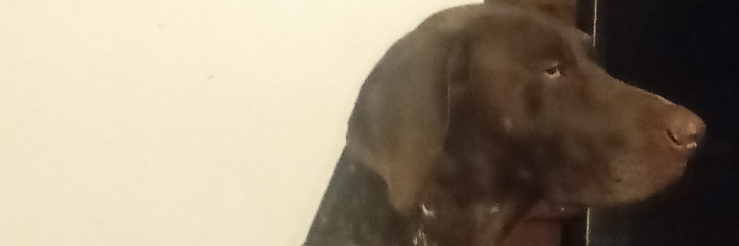 hotdog090's profile banner image