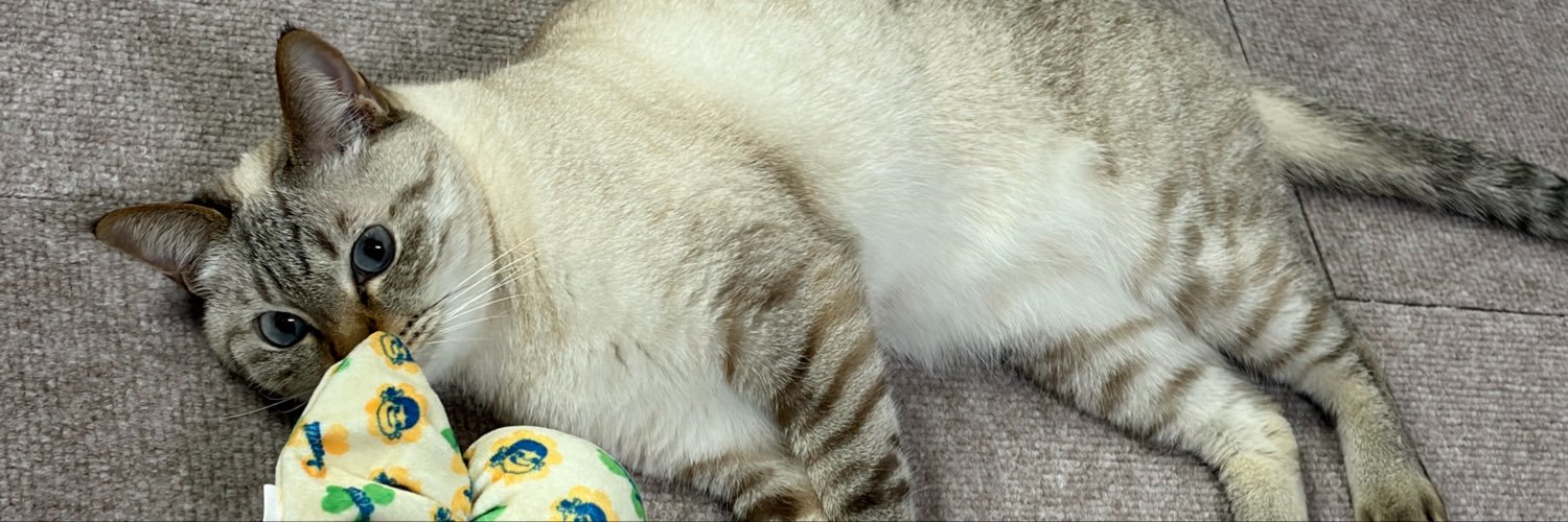 kiyoha1282's profile banner image