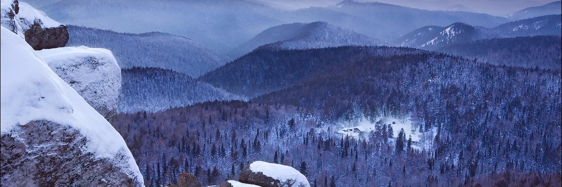 HuskyTrader banner