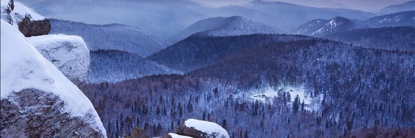 HuskyTrader Profile Banner