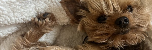 JackTheCEO Profile Banner