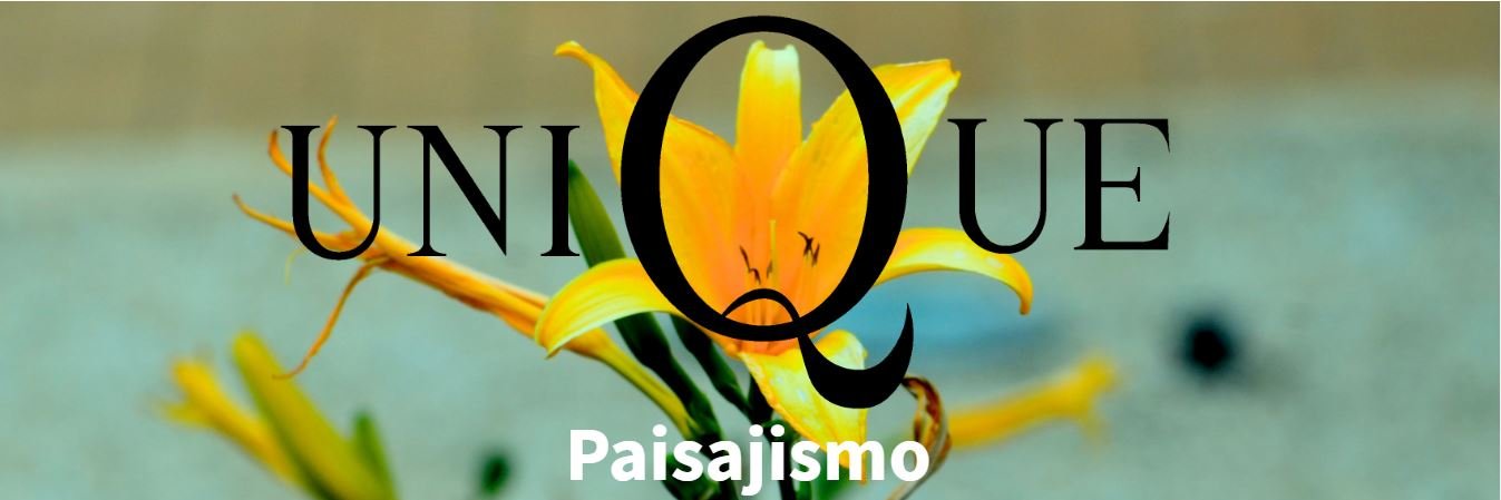 UNIQUEESTUDIO's profile banner image
