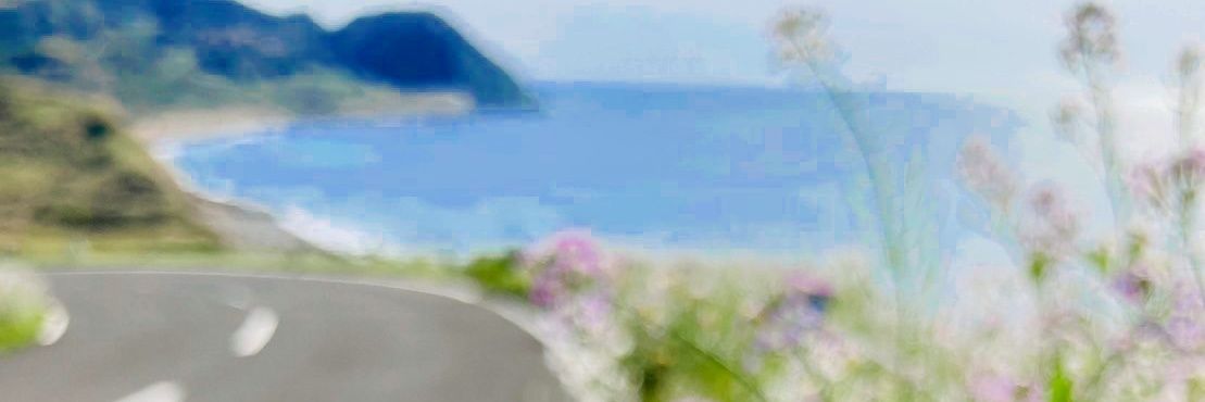 skymark19's profile banner image