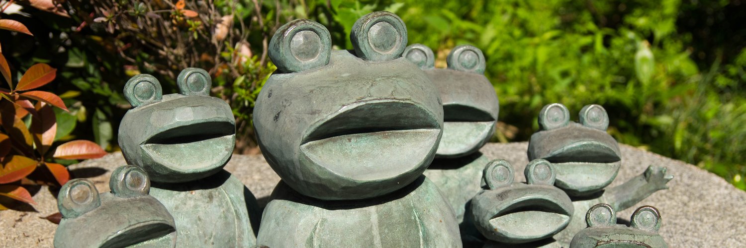 Syncopated_Frog @ ORNITHOLOGY banner