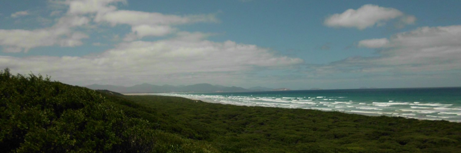 orianecleary's profile banner image