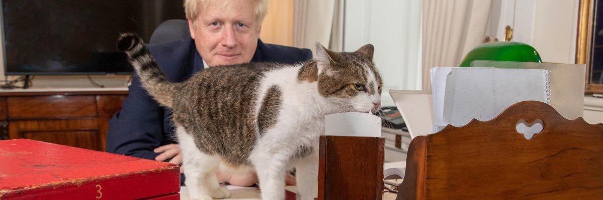 Tory Cats banner