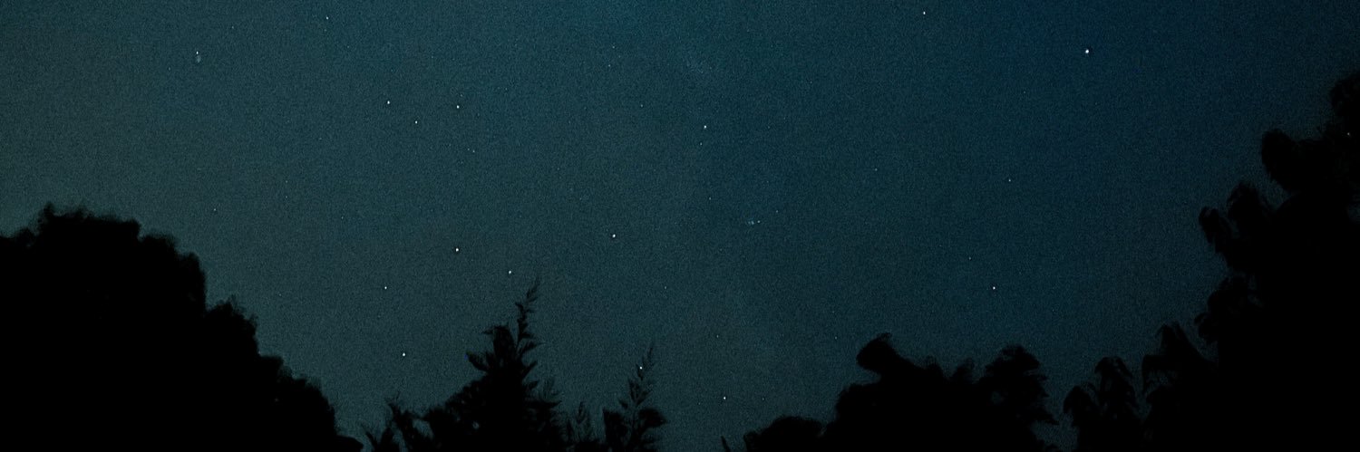 gégé 🐢 banner