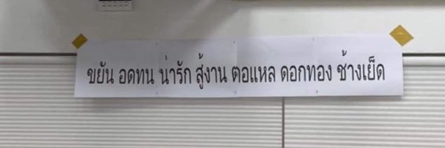 ˖*ชีโต้ส✭🎄🌟 banner