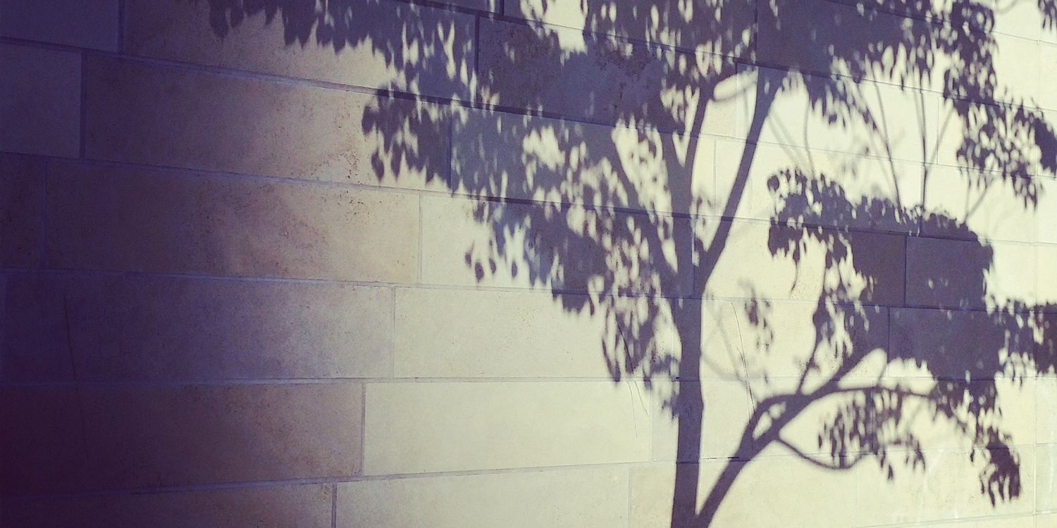 corwinevans's profile banner image