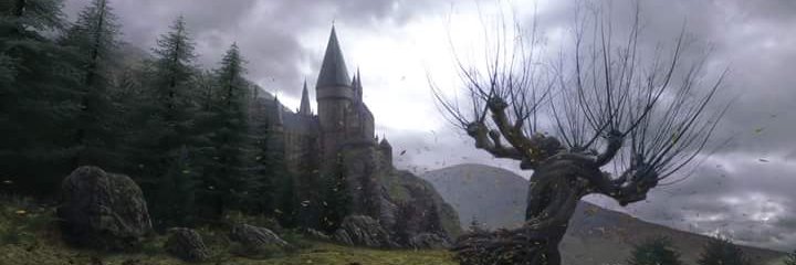 Lauracarrillo93's profile banner image