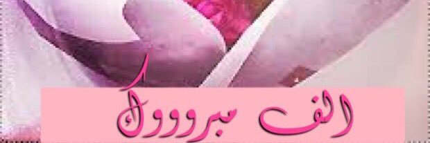 a_m___m_'s profile banner image