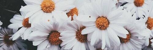 ยกเลิก112 banner