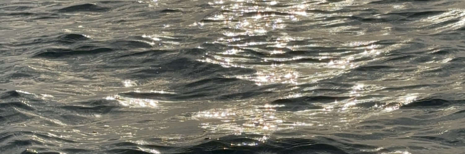 mannunavas's profile banner image