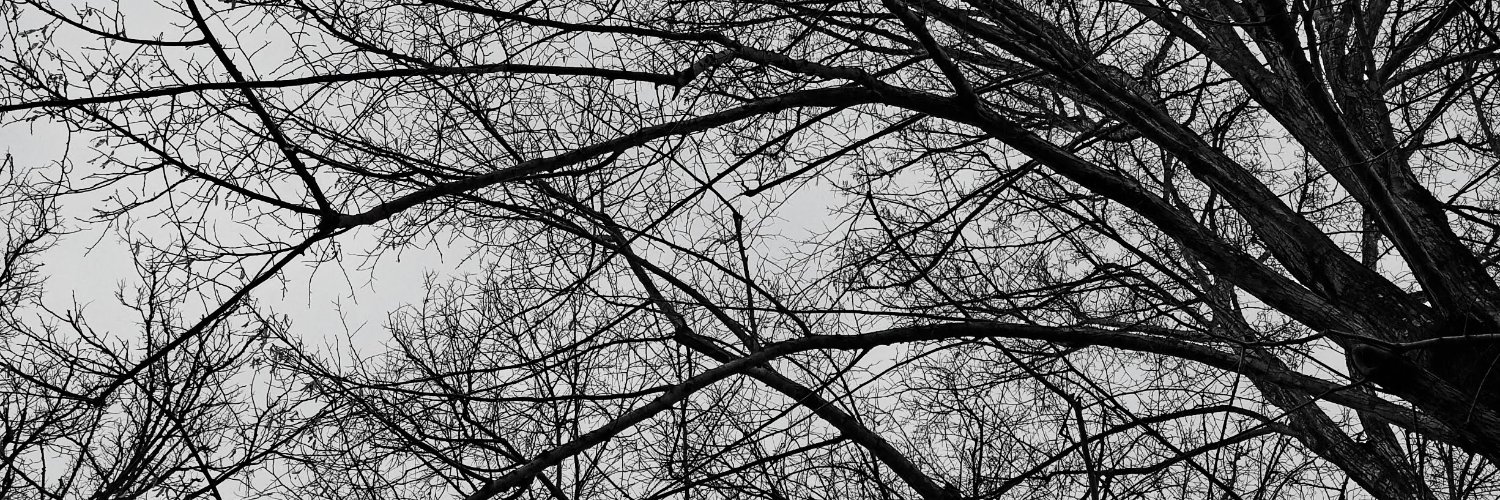 Desdoblada's profile banner image