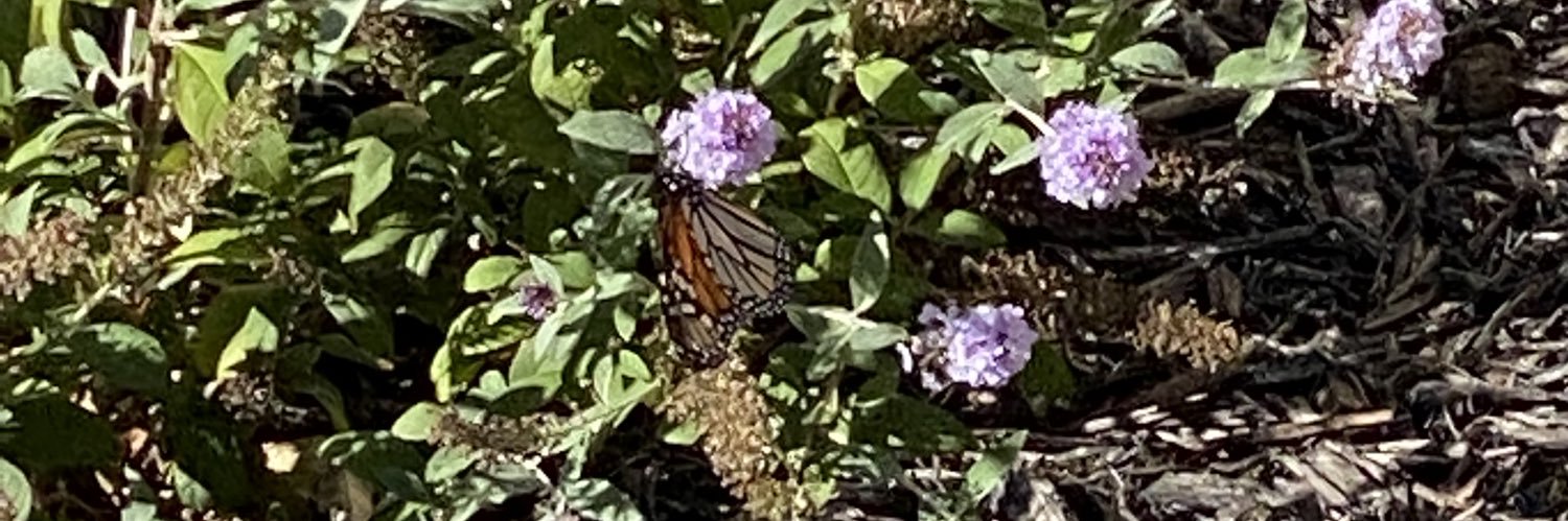 Home Depot 6833 banner