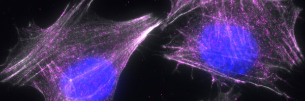JeetayuB Profile Banner