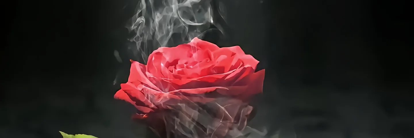 BraveGZ's profile banner image