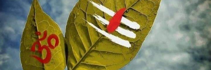 hiianuj's profile banner image