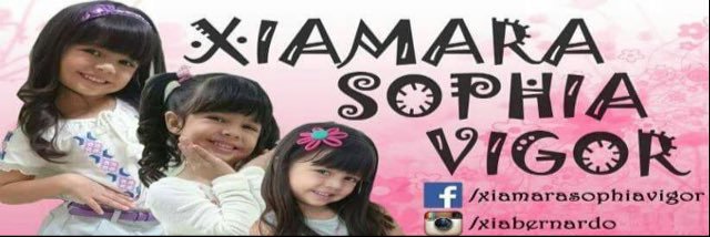 Xia Vigor banner