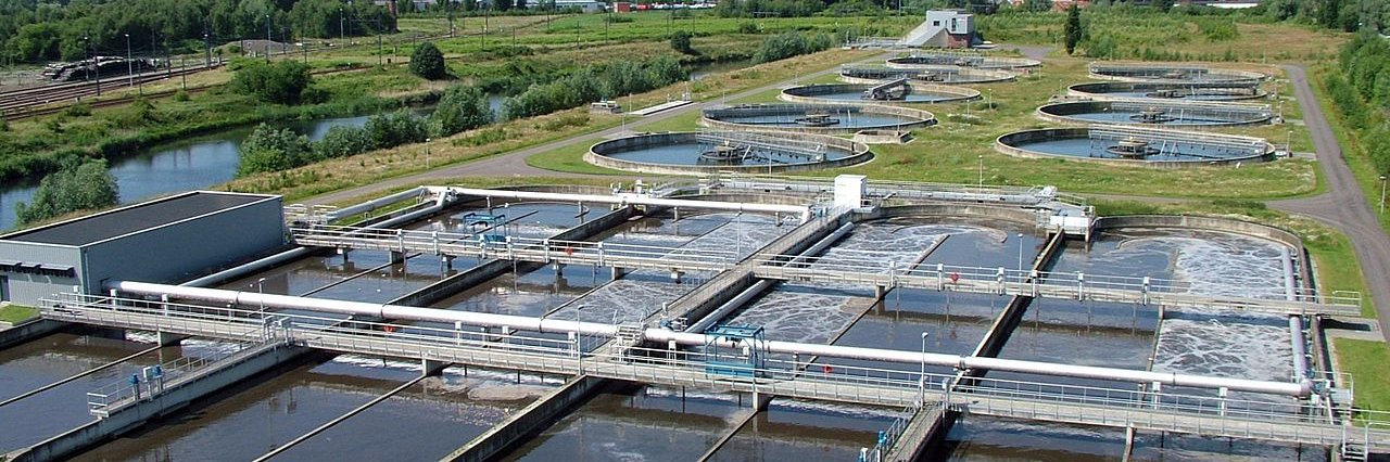 Ciro LeCompte banner