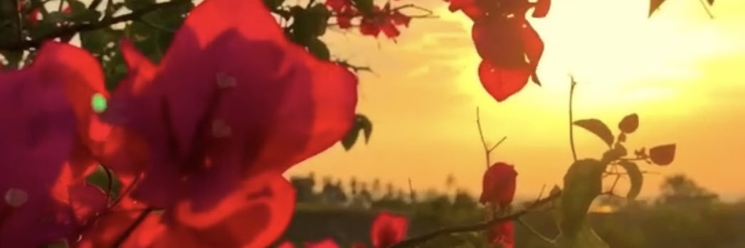 AlshoogK's profile banner image