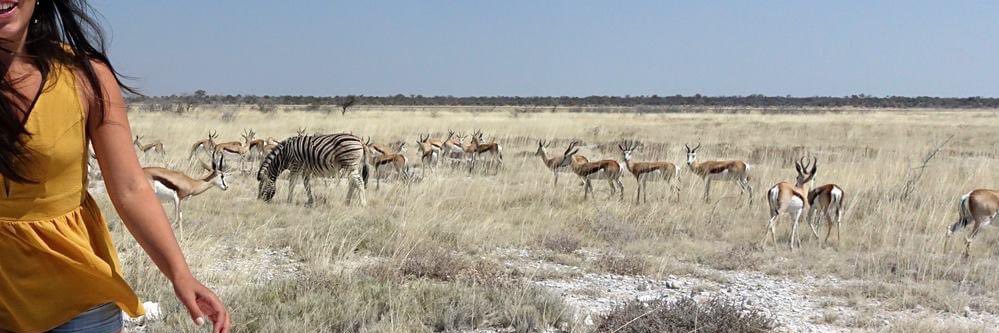 Inês Capinha banner