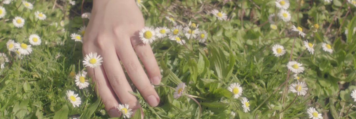 greeny__grass's profile banner image