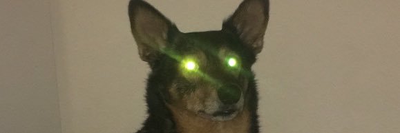 1colherdesopa's profile banner image