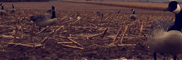 Goose__16's profile banner image