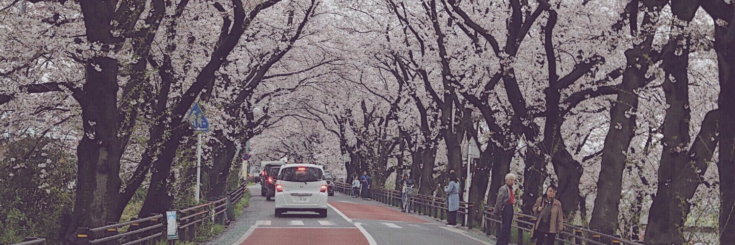 belly_vu's profile banner image