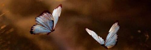 FLY3865848's profile banner image