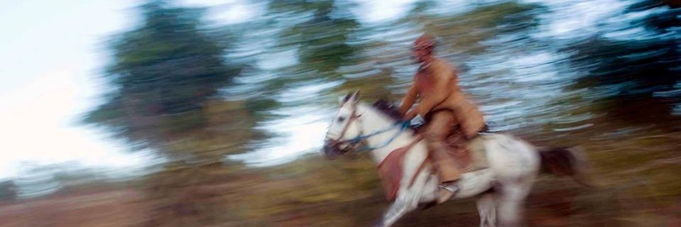 dario castro alves banner