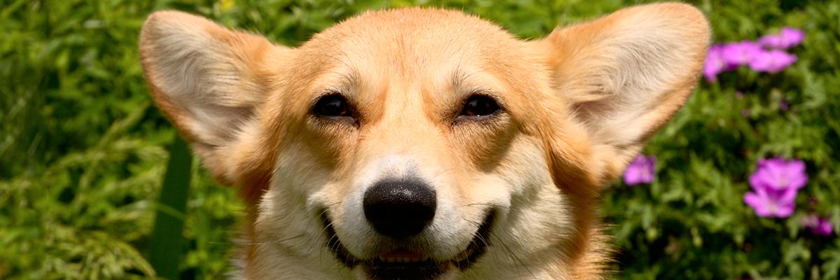 ____k_a_t_e's profile banner image