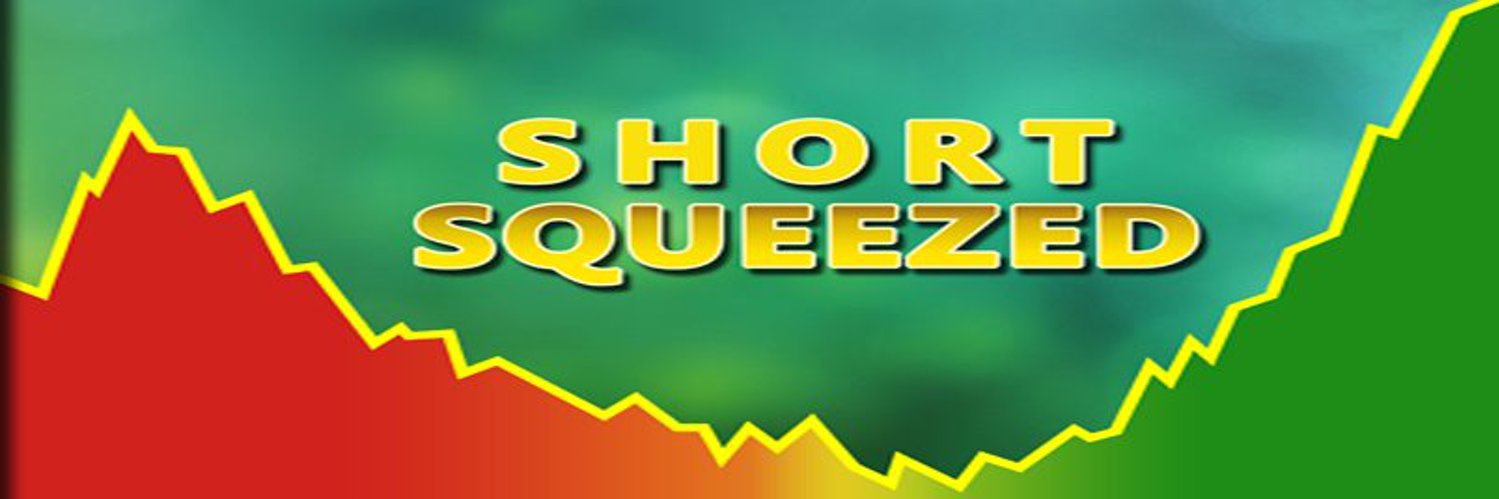 ShortSqueezel's profile banner image
