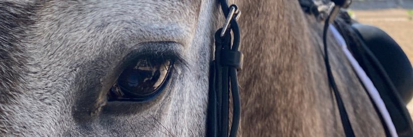 karminaaranda's profile banner image