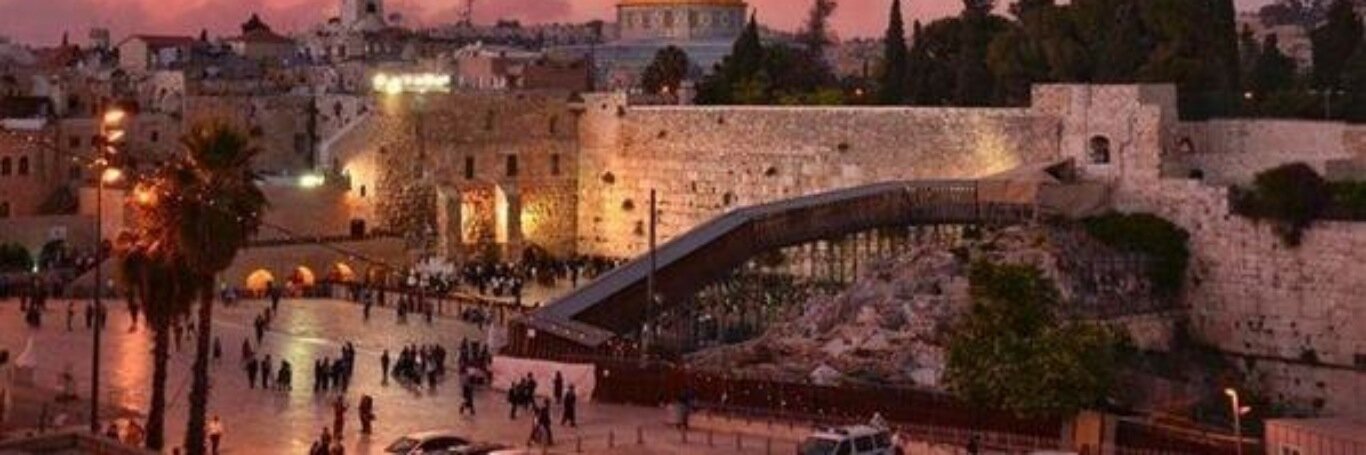 (((Rabbi_L_Sykes))) 🎗️'s banner